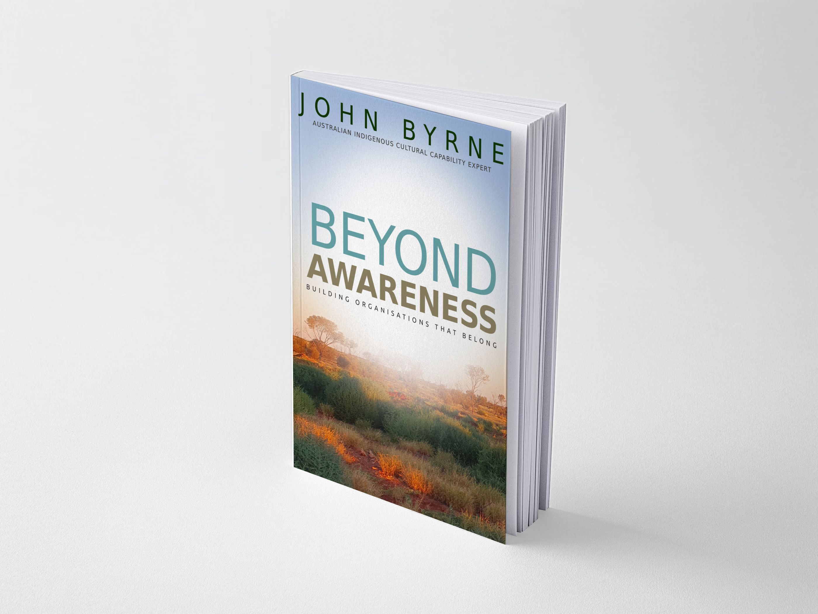 Beyond Awareness: Building Organisations That Belong